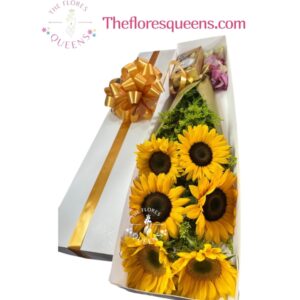 CAJAS 12 - FLORISTERIAS EN CALI