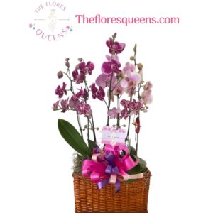 ORQUIDEA 4 - FLORISTERIAS EN CALI