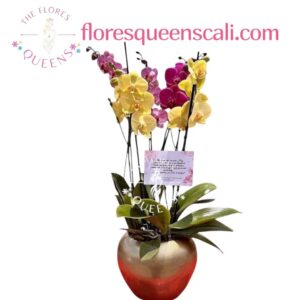 ARREGLO ORQUIDEA  9 - FLORISTERIAS EN CALI