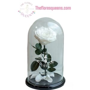 ROSA PRESERVADA 2 - FLORISTERIAS EN CALI