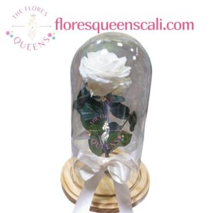 ROSA  FUNEBRE  20 - FLORISTERIAS EN CALI